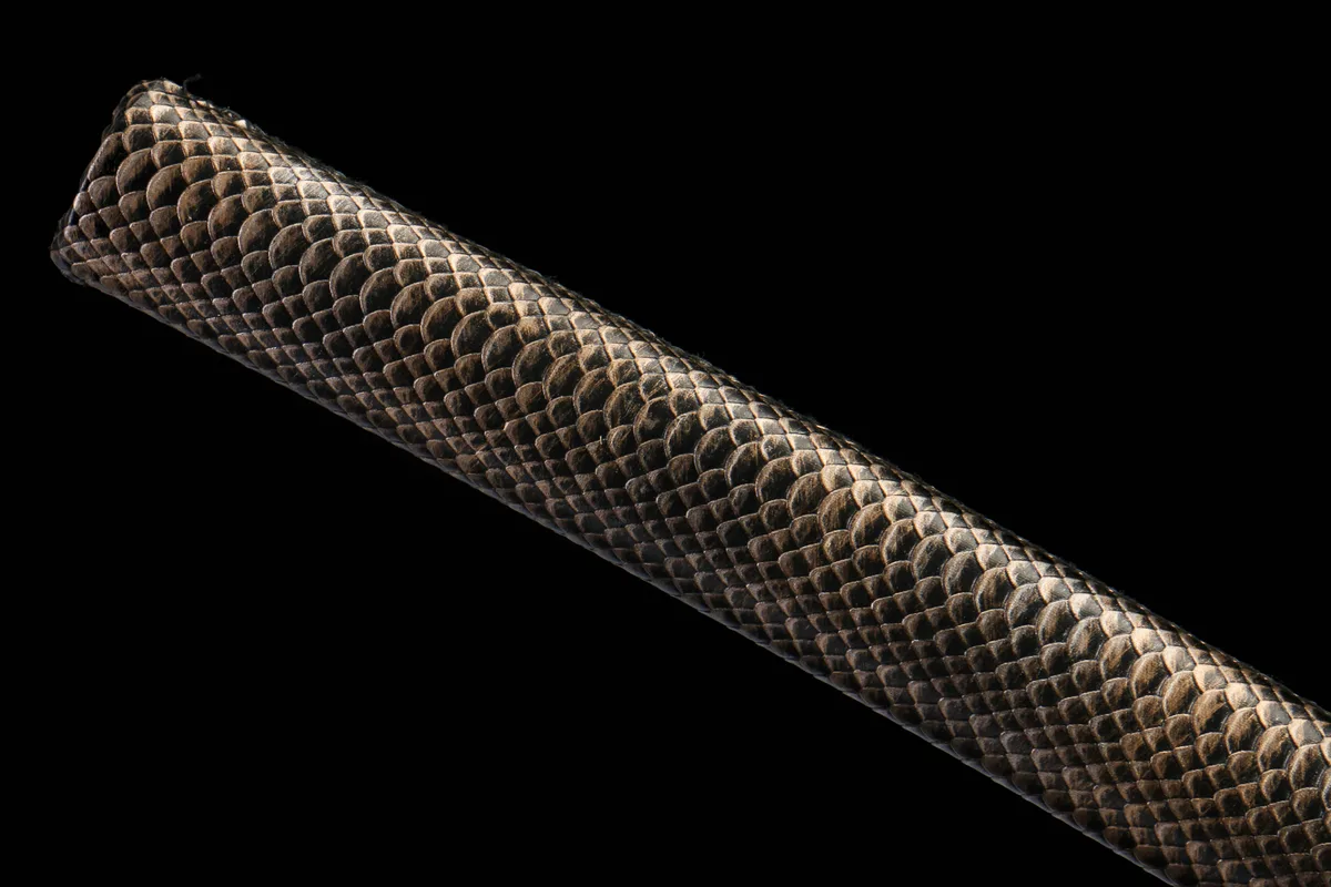 Ombre du Cygne Solitaire - Katana Forge a la Main en Acier au carbone 1045 - Image 9