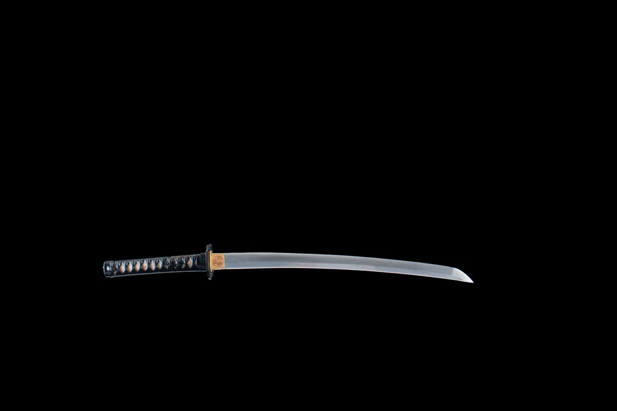 Écaille Sans Tranchant - Wakizashi Forge a la Main en Acier au carbone 1065 - Image 4